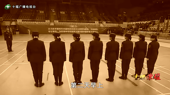 創(chuàng)業(yè)是一條無比艱辛的路，創(chuàng)新更是無限風光在險峰。在男性為主導(dǎo)的商海里，女性創(chuàng)業(yè)創(chuàng)新需要鼓足十萬分的勇氣和力量，是挑戰(zhàn)未來成功的小概率事件。而十堰姑娘楊麗便是這小概率事件中的一個傳奇，也是女性創(chuàng)業(yè)創(chuàng)新的榜樣。今天就來認識這位傳奇女性-興千田集團楊麗。