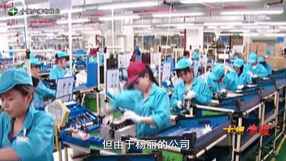 創(chuàng)業(yè)是一條無比艱辛的路，創(chuàng)新更是無限風光在險峰。在男性為主導(dǎo)的商海里，女性創(chuàng)業(yè)創(chuàng)新需要鼓足十萬分的勇氣和力量，是挑戰(zhàn)未來成功的小概率事件。而十堰姑娘楊麗便是這小概率事件中的一個傳奇，也是女性創(chuàng)業(yè)創(chuàng)新的榜樣。今天就來認識這位傳奇女性-興千田集團楊麗。