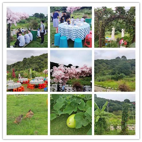 2020年興千田集團(tuán)迎中秋、慶國慶聚餐活動