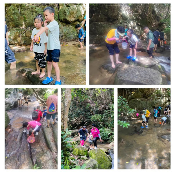 陽(yáng)臺(tái)山愛(ài)護(hù)環(huán)境公益活動(dòng)