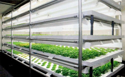 精益管可以做大棚管嗎？