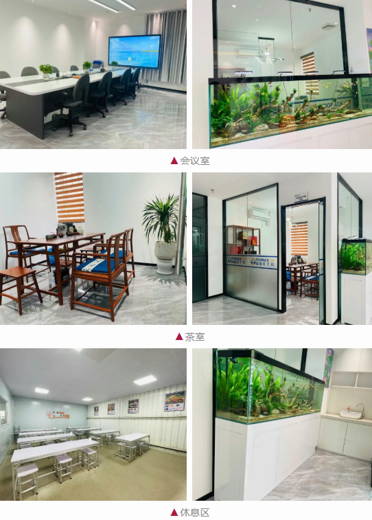 越南興千田辦公空間煥新升級3 越南興千田辦公空間煥新升級3